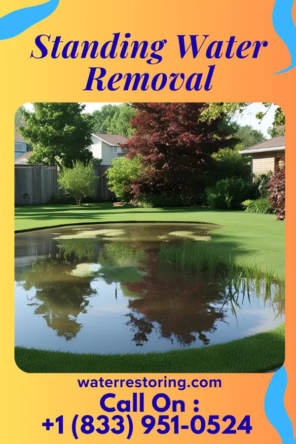 Standing Water Removal in Ayrshire, IA